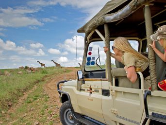 a close up of people in a vehicle watching giraffes
