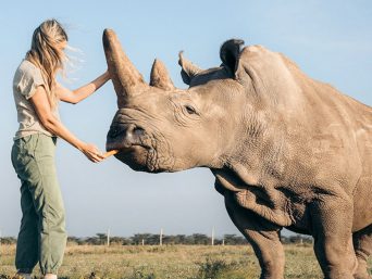 a woman feeding a rhino