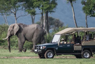 a large elephant standing next to a vehicle